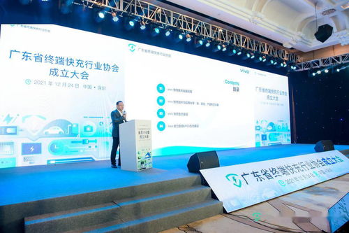 全國(guó)首家終端快充行業(yè)協(xié)會(huì)成立 vivo助力技術(shù)標(biāo)準(zhǔn)化，加速產(chǎn)業(yè)協(xié)同與生態(tài)構(gòu)建
